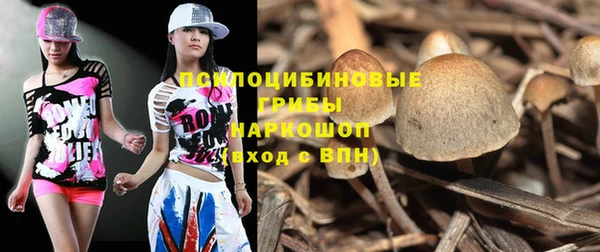 мдпв Володарск